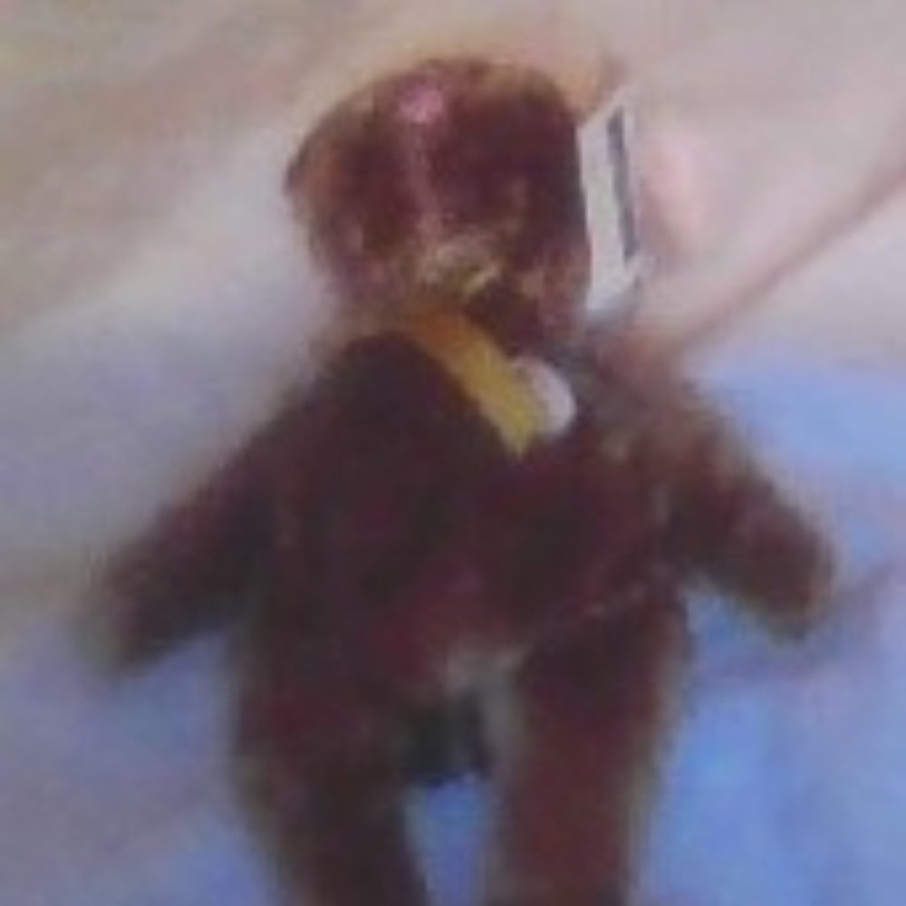 Champion Beanie Baby